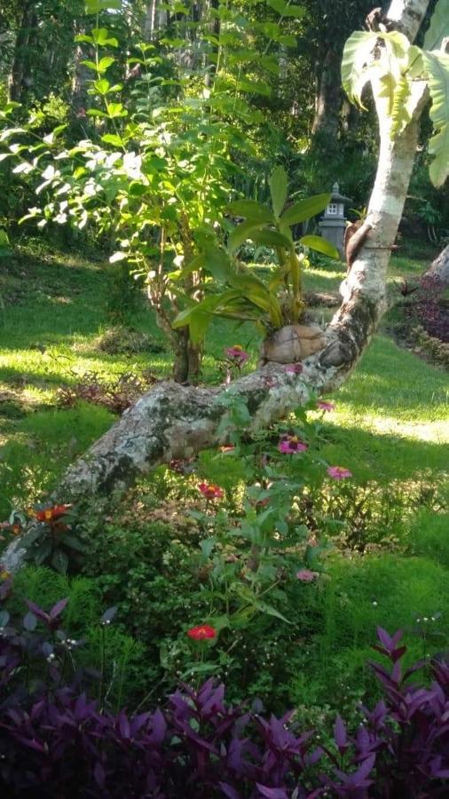 Balian Bliss Retreat Resort - Adults Only Eksteriør billede