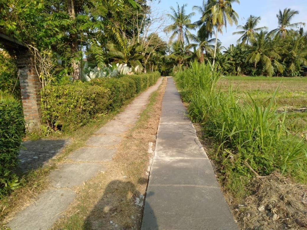 Balian Bliss Retreat Resort - Adults Only Eksteriør billede